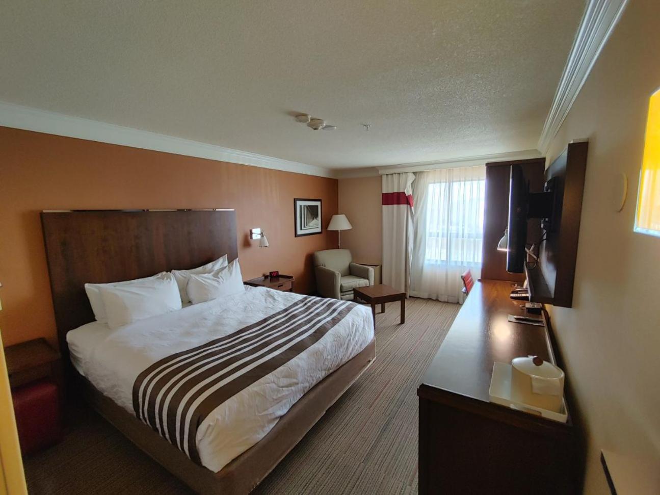 Waterloo Suites Hotel, Trademark Collection By Wyndham Exterior foto